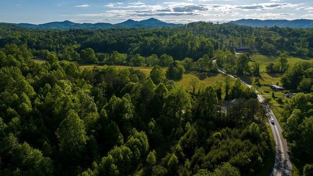 TR 1&2 W Gum Log Road, Warne, NC 28909