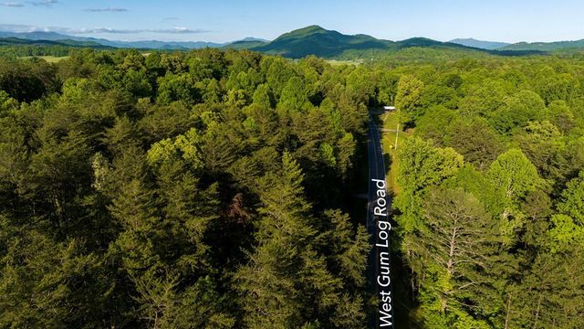 TR 1&2 W Gum Log Road, Warne, NC 28909