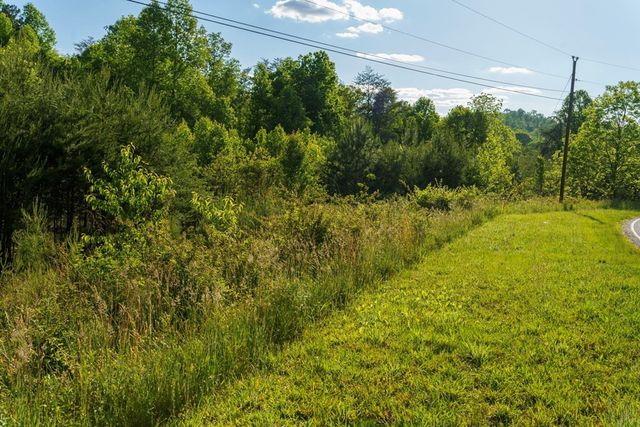 TR 1&2 W Gum Log Road, Warne, NC 28909