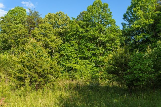 TR 1&2 W Gum Log Road, Warne, NC 28909