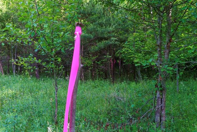TR 1&2 W Gum Log Road, Warne, NC 28909