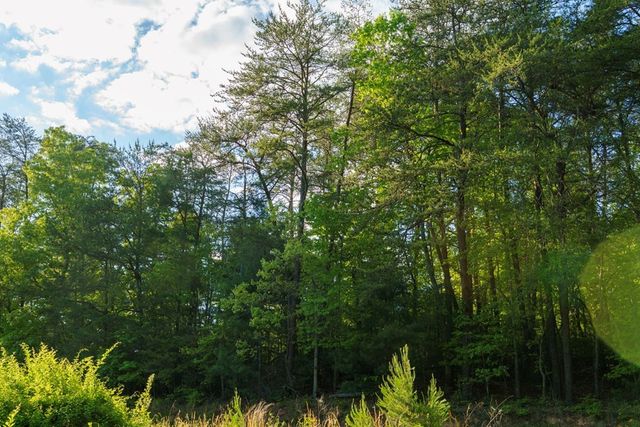 TR 1&2 W Gum Log Road, Warne, NC 28909