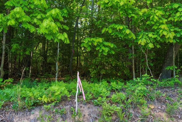 TR 1&2 W Gum Log Road, Warne, NC 28909