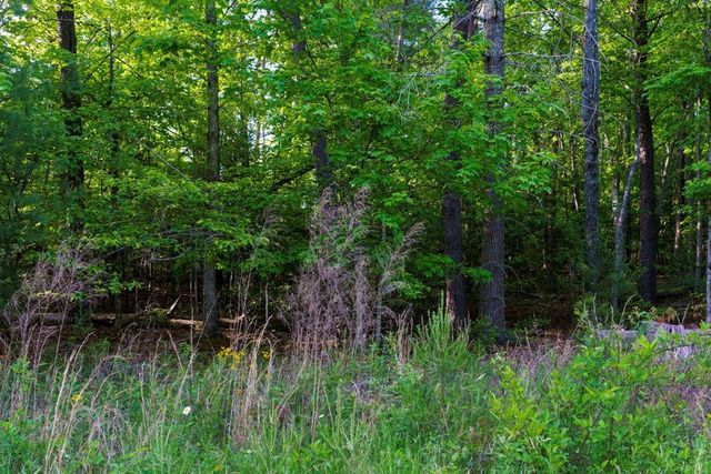 TR 1&2 W Gum Log Road, Warne, NC 28909