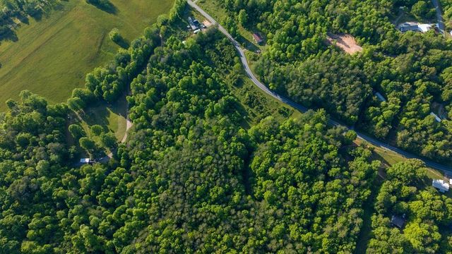 TR 1&2 W Gum Log Road, Warne, NC 28909