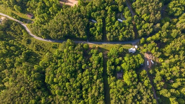 TR 1&2 W Gum Log Road, Warne, NC 28909
