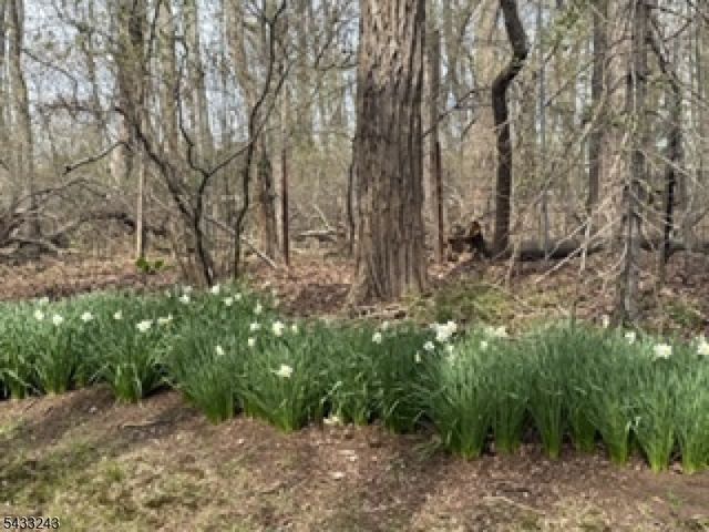691 Ridgedale Ave, East Hanover Twp., NJ 07936