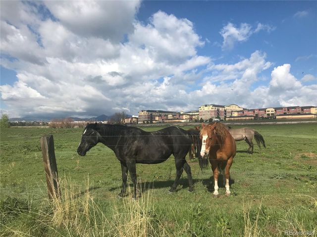 13462 Via Varra, Broomfield, CO 80020