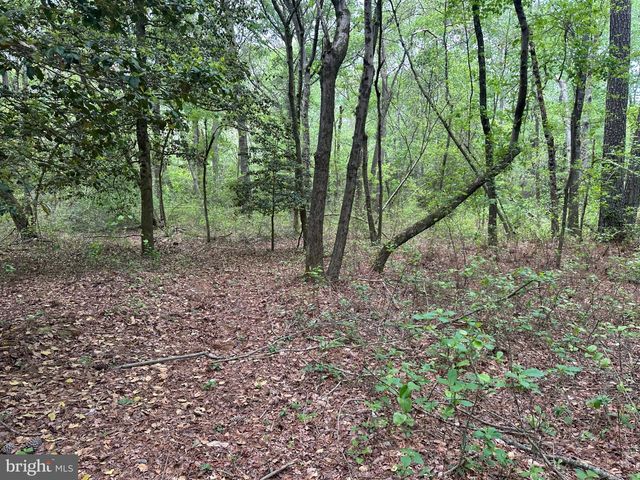 28403 OLD EDEN RD, Eden, MD 21822