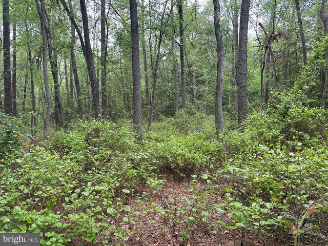 28403 OLD EDEN RD, Eden, MD 21822