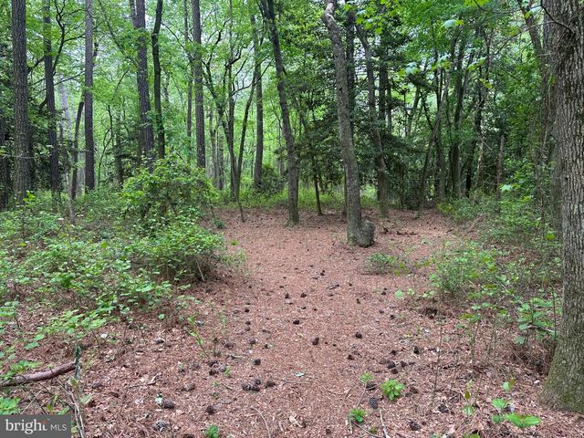 28403 OLD EDEN RD, Eden, MD 21822