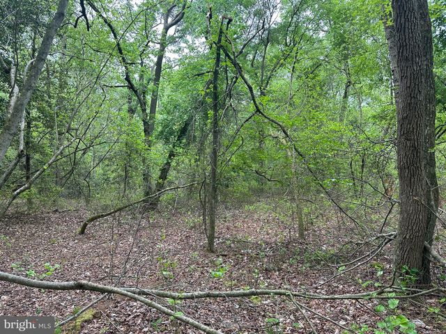 28403 OLD EDEN RD, Eden, MD 21822