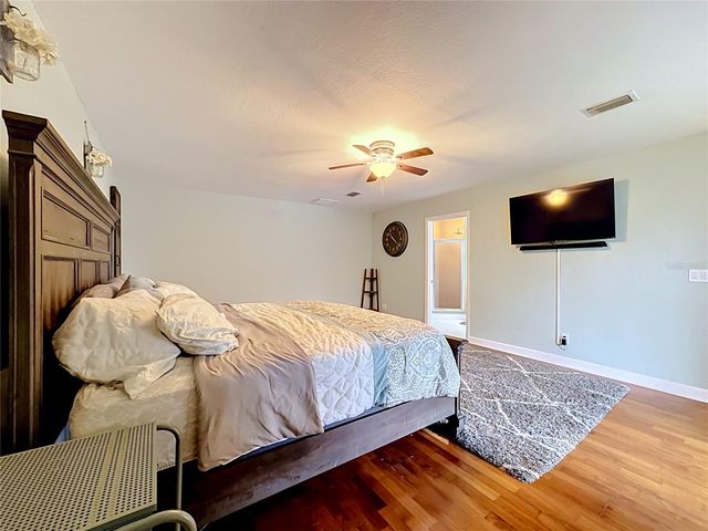 6517 SOLITAIRE PALM WAY, Apollo Beach, FL 33572