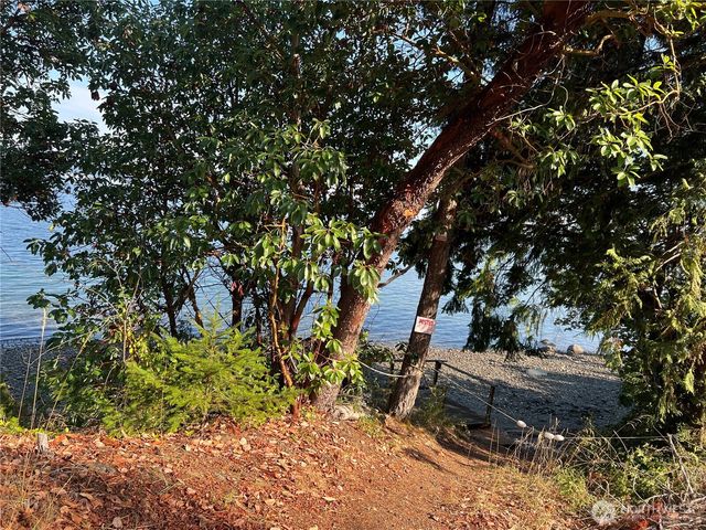 61 Nevergiveup Road, Brinnon, WA 98320