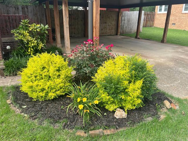 1809 Church Ave, Mena, AR 71953