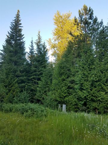 221 Veit Springs Ln, Newport, WA 99156