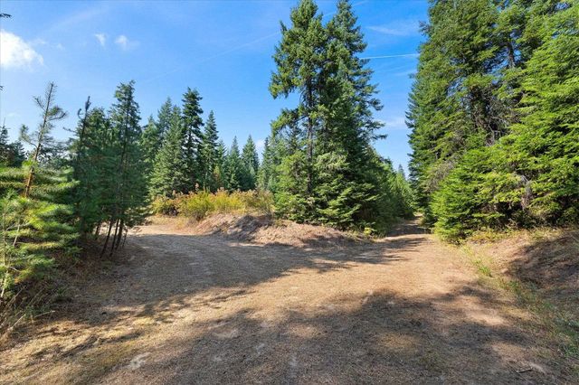 221 Veit Springs Ln, Newport, WA 99156