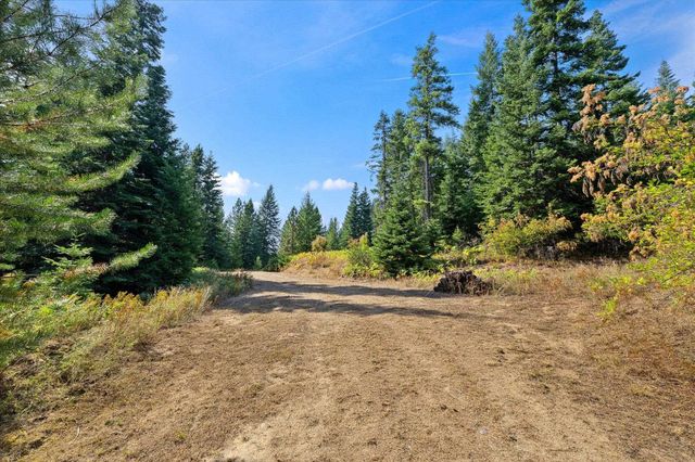 221 Veit Springs Ln, Newport, WA 99156