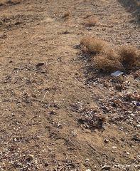 0 Vac/Vic, Redman, CA 93535