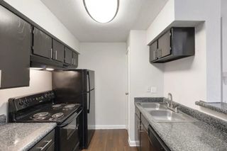 2800 S Ashford Road 1107, Houston, TX 77082