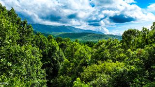 0 Angie Lane, Gatlinburg, TN 37738