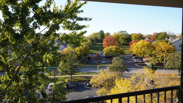 75 Kristin Circle 516, Schaumburg, IL 60195