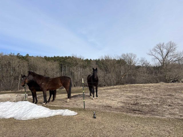E7037 SWAMP ROAD, Marion, WI 54950