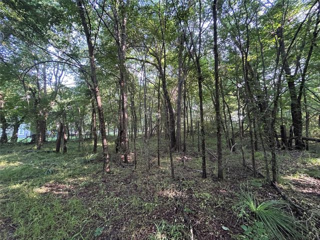 1586 Fm 2324, Emory, TX 75440