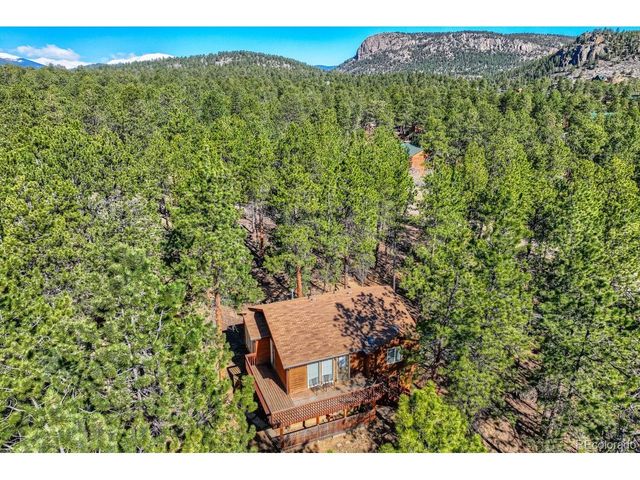 261 Impala Trl, Bailey, CO 80421