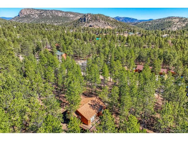 261 Impala Trl, Bailey, CO 80421