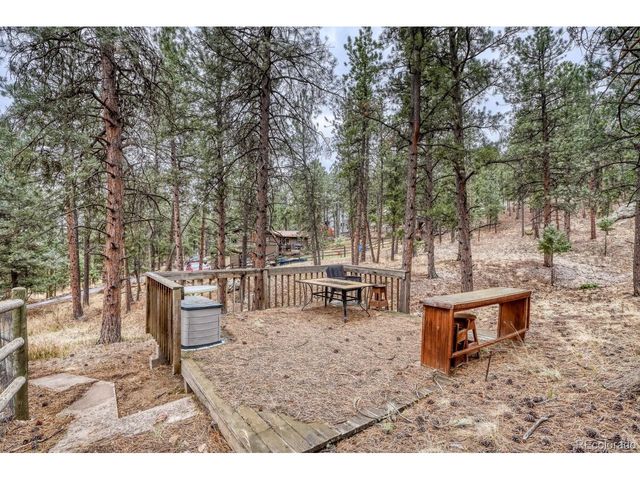 261 Impala Trl, Bailey, CO 80421