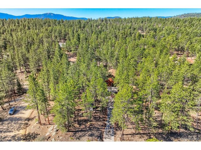 261 Impala Trl, Bailey, CO 80421