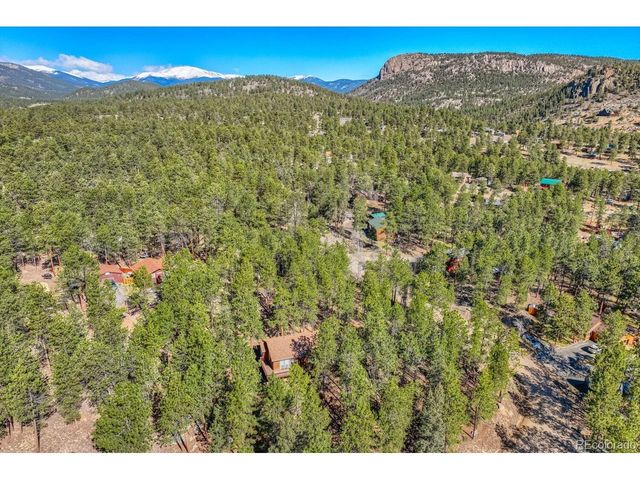 261 Impala Trl, Bailey, CO 80421