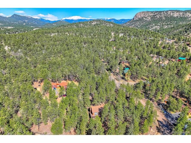 261 Impala Trl, Bailey, CO 80421