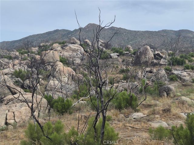 1 Tule Peak Road, Anza, CA 92536