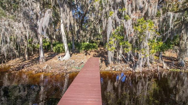 243 HERMAN DRIVE, Hawthorne, FL 32640