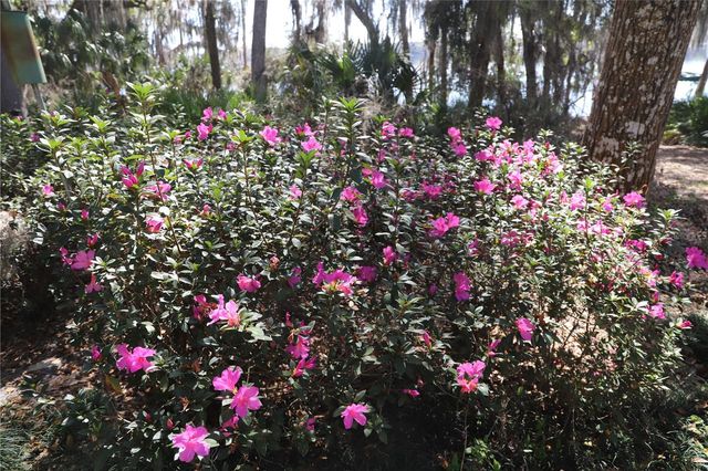 243 HERMAN DRIVE, Hawthorne, FL 32640