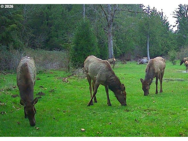 37945 Se TUMALA MOUNTAIN Rd, Estacada, OR 97023
