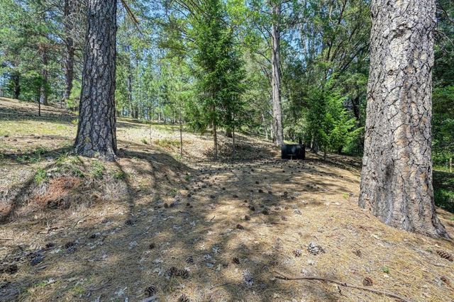 1205 Tokayana Ranch Lane, Colfax, CA 95713