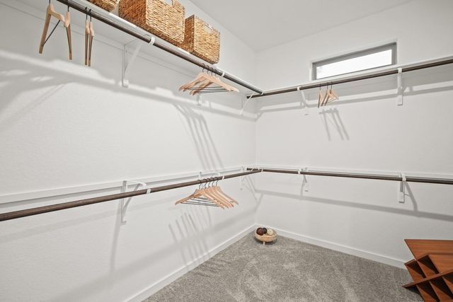 446 Lucky Ave, Elgin, TX 78621