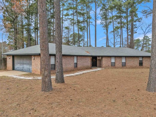 141 Fran Street, Diana, TX 75640