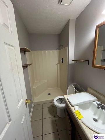 2857 Rineyville Big Springs, Rineyville, KY 40162