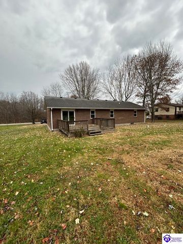 2857 Rineyville Big Springs, Rineyville, KY 40162