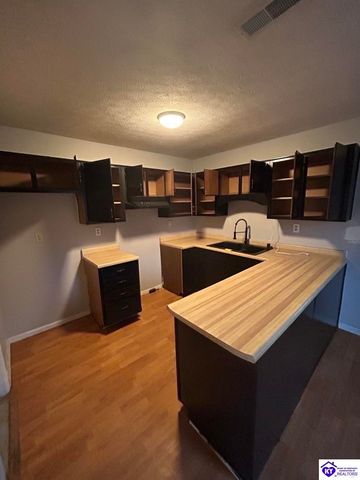 2857 Rineyville Big Springs, Rineyville, KY 40162