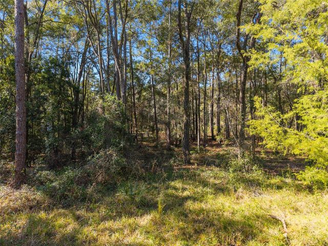 18124 SW 75TH AVENUE, Archer, FL 32618