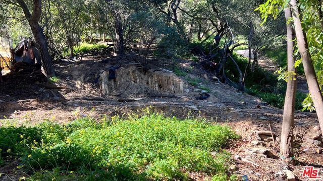 3485 Old Topanga Canyon Road, Topanga (los Angeles), CA 90290