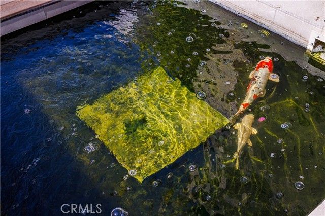 51 Hartman, Irvine, CA 92618