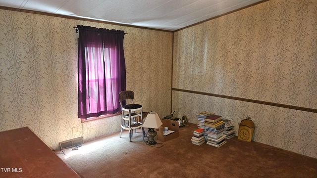 381 Newt Good Road, Limestone, TN 37681
