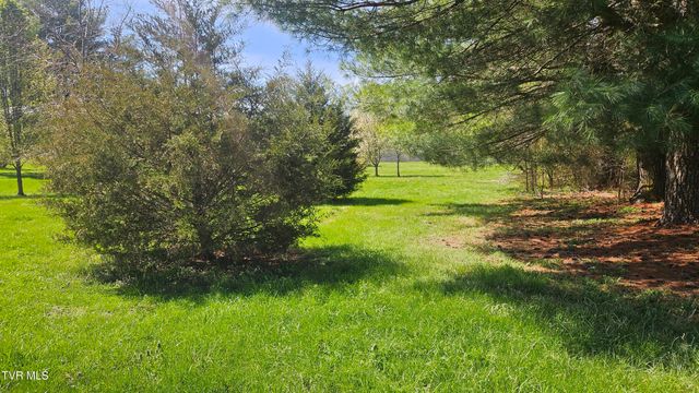 381 Newt Good Road, Limestone, TN 37681