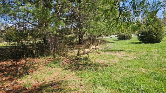 381 Newt Good Road, Limestone, TN 37681